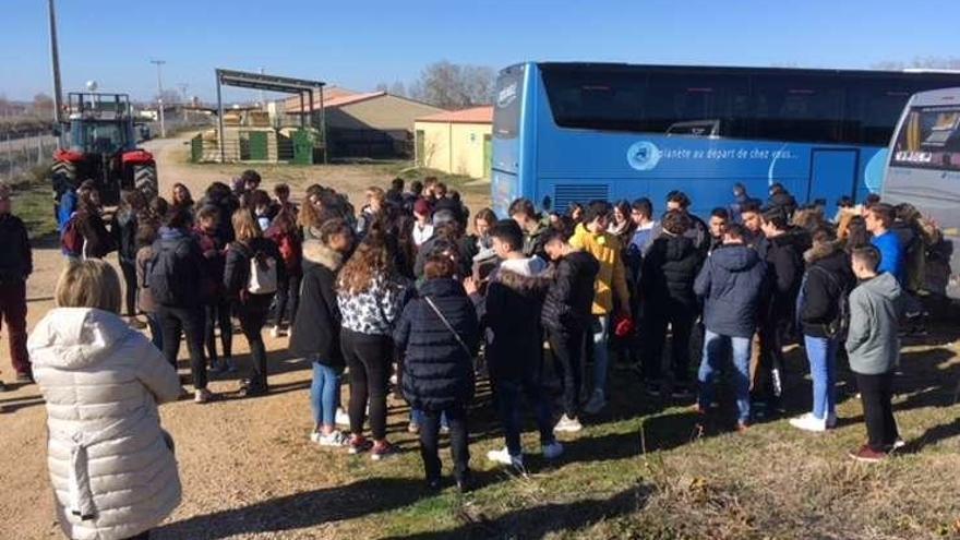 Estudiantes en las instalaciones de Madridanos.