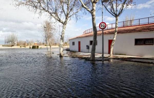 Fotogalería: La crecida del Ebro a su paso por Zaragoza