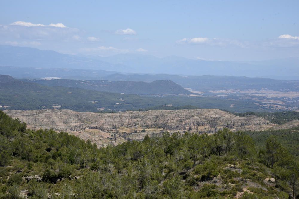 La zona afectada pel foc d'Òdena, un any després