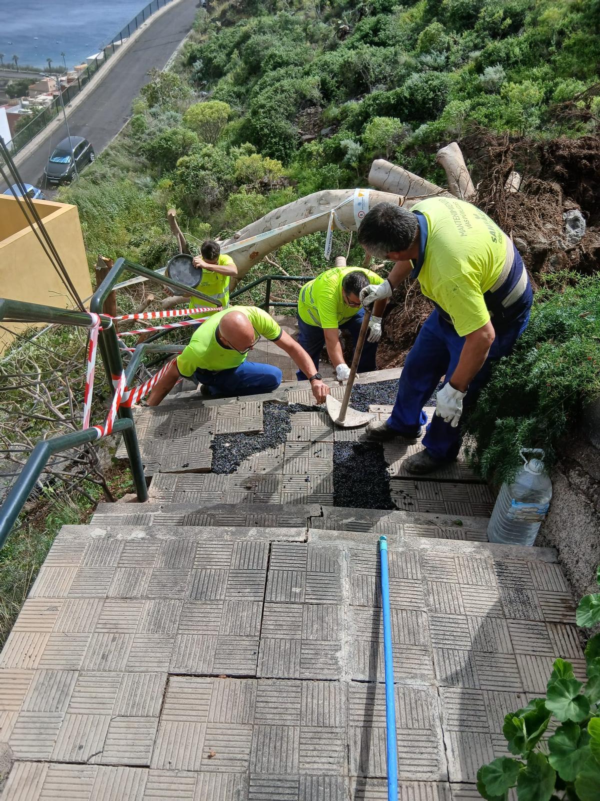 Operarios de Servicios Públicos trabajan para acondicionar el paso por la escalera donde cayó el árbol.