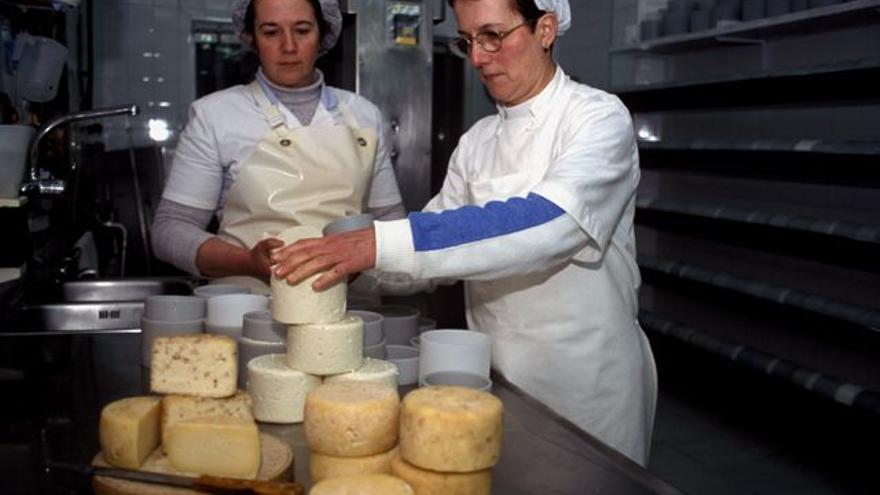 Ganaderos, cooperativas e industrias, motores económicos del rural asturiano