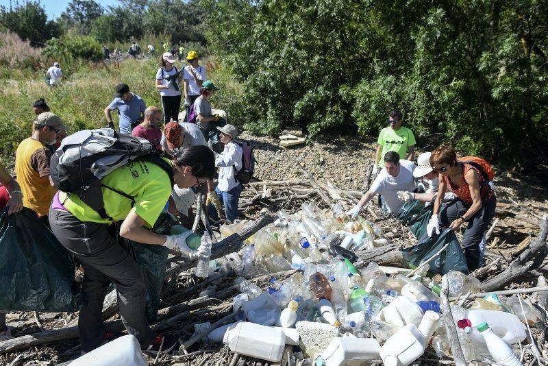 Recogida de plásticos en la ribera del Ebro