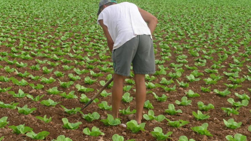 La Unió reclama redistribuir las ayudas de la PAC priorizando la agricultura profesional