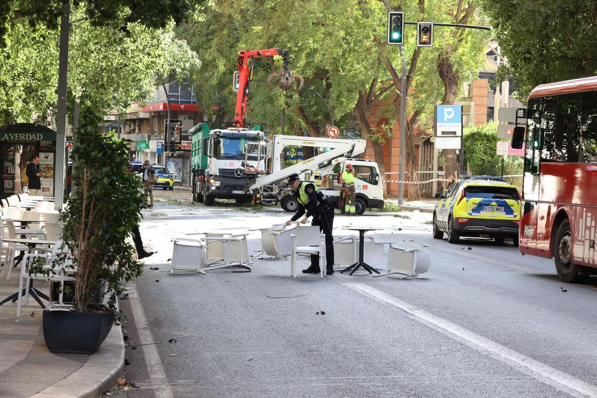 Efectivos retirando la rama y las sillas y mesas de la calzada en la Gran Vía de Murcia