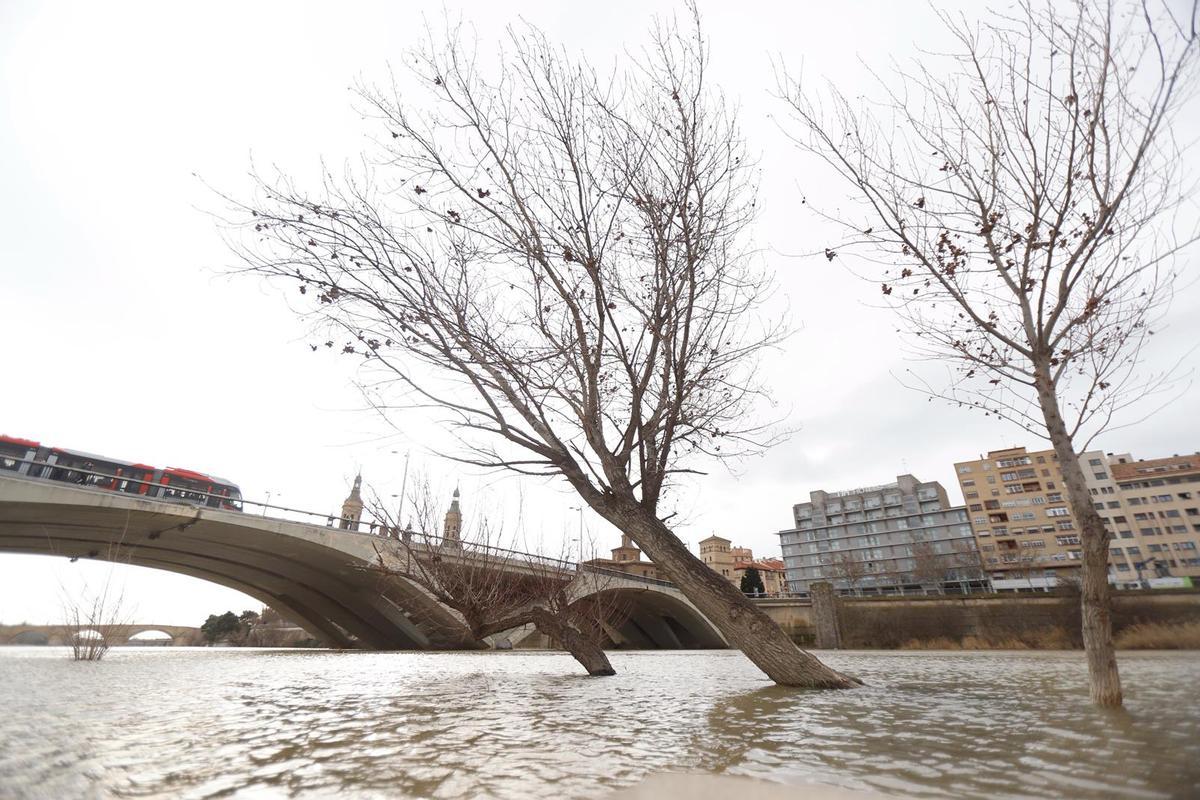 Así luce el Ebro en Zaragoza tras lluvias y deshielo Así luce el Ebro en Zaragoza tras lluvias y deshielo