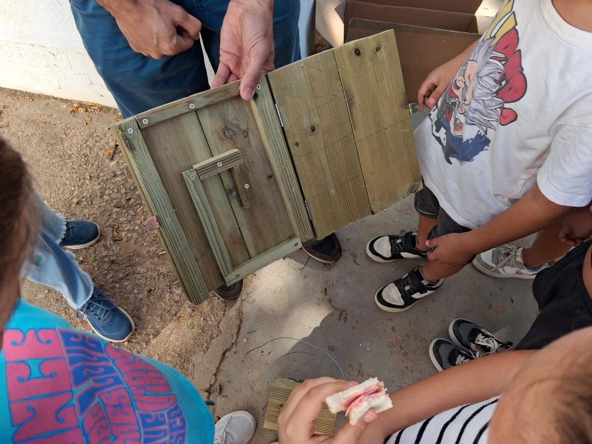 Proceso de construcción de las cajas nido.