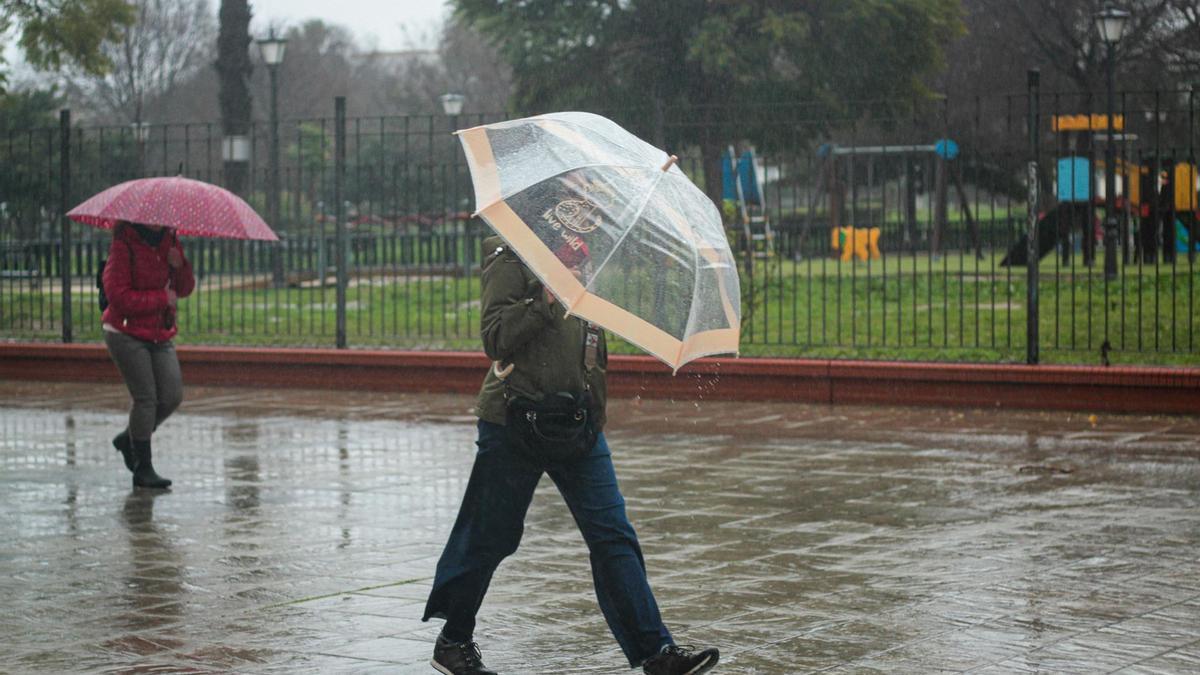 Dos personas se protegen de la lluvia bajo su paraguas. A 9 de febrero de 2024, en Sevilla (Andalucía, España).