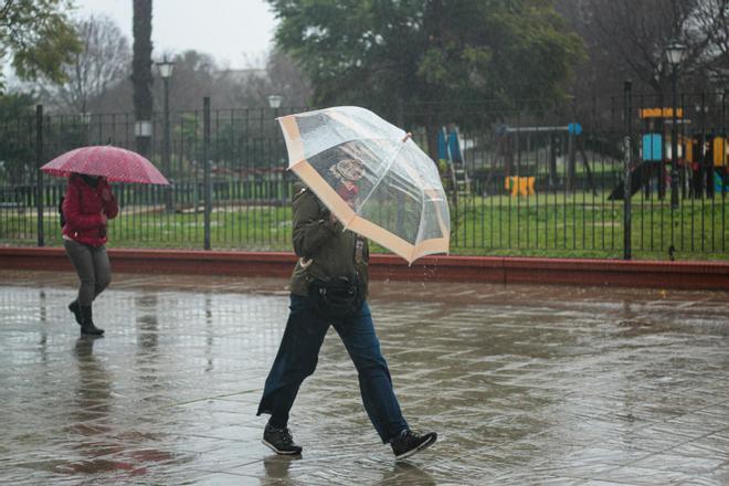 Dos personas se protegen de la lluvia bajo su paraguas. A 9 de febrero de 2024, en Sevilla (Andalucía, España).