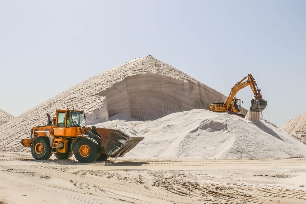 En torno a medio centenar de turistas estrenaron las visitas guiadas a las salinas de Torrevieja, que pretenden normalizarse el verano que viene