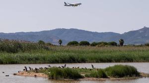 Un avión se aproxima al aeropuerto de Barcelona- El Prat sobrevolando el espacio natural Remolar-Filipinas