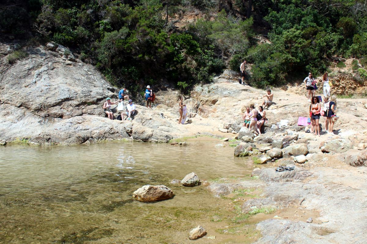 Banyistes a la Cala Bona de Tossa de Mar