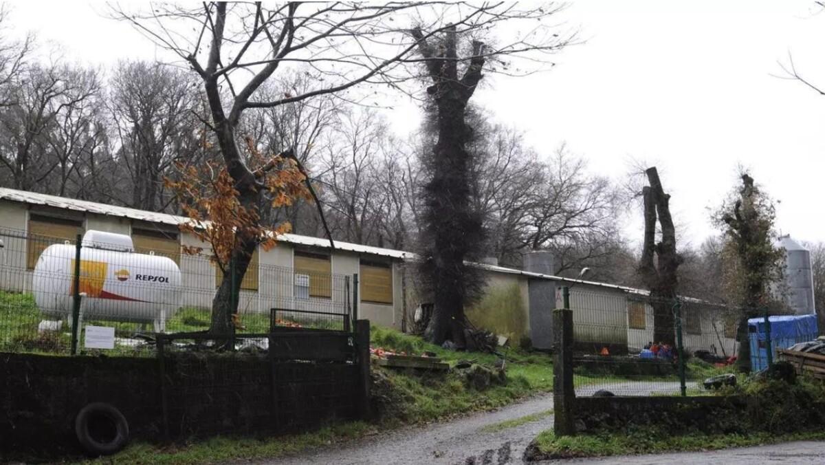 Exterior de la granja de pollos de Refoxos donde sucedió el accidente laboral mortal.