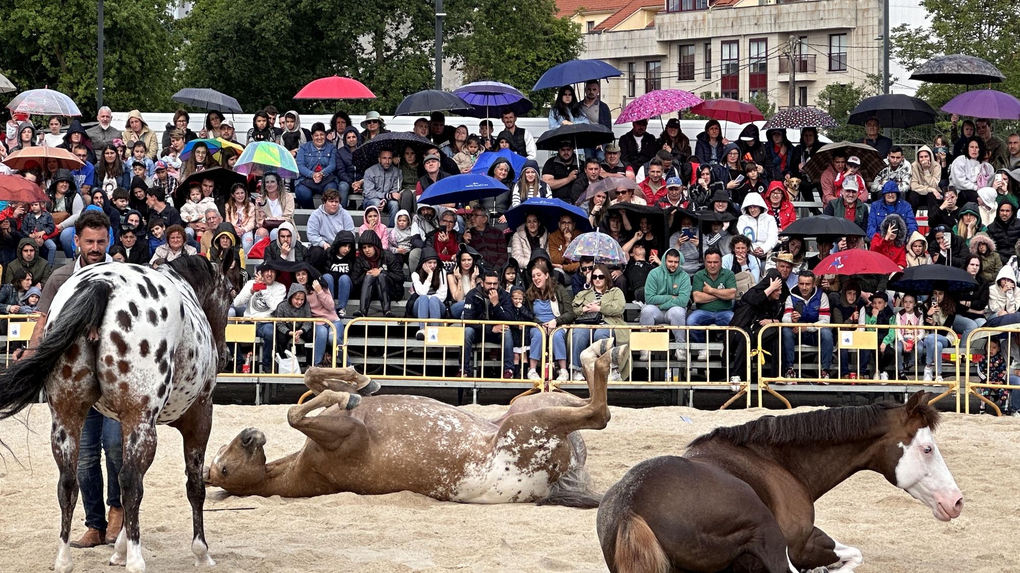 Danza sobre la arena: el espectáculo equino de Santi Serra hipnotiza Lalín