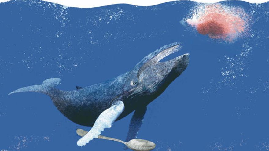 versus enlazar martillo Lo que no comen las ballenas - El Día