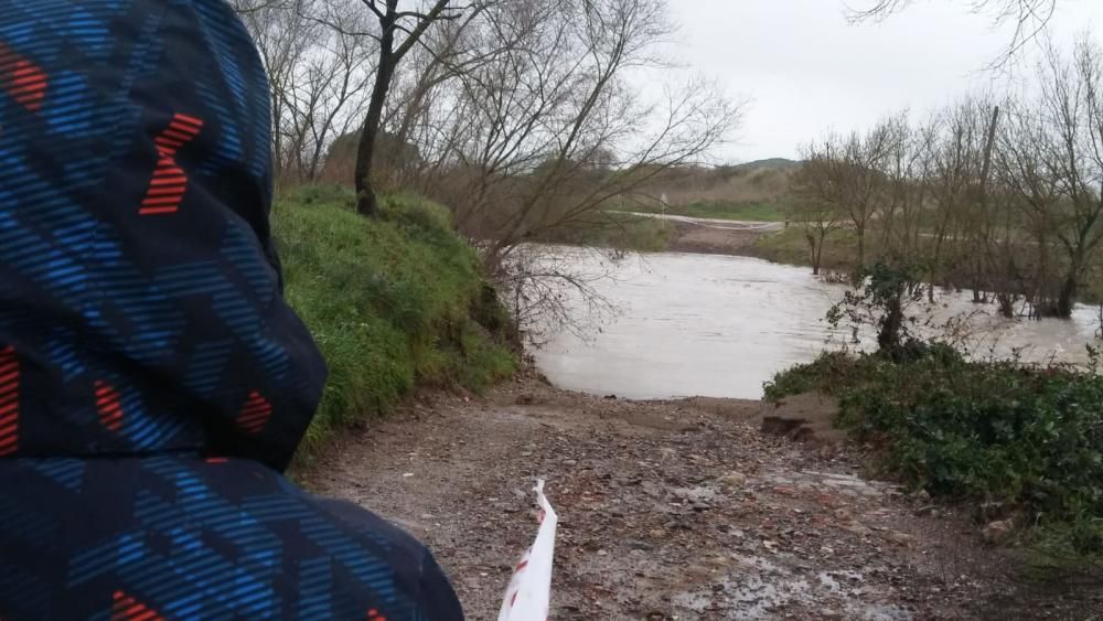 El riu Daró, al seu pas per la Bisbal d'Empordà