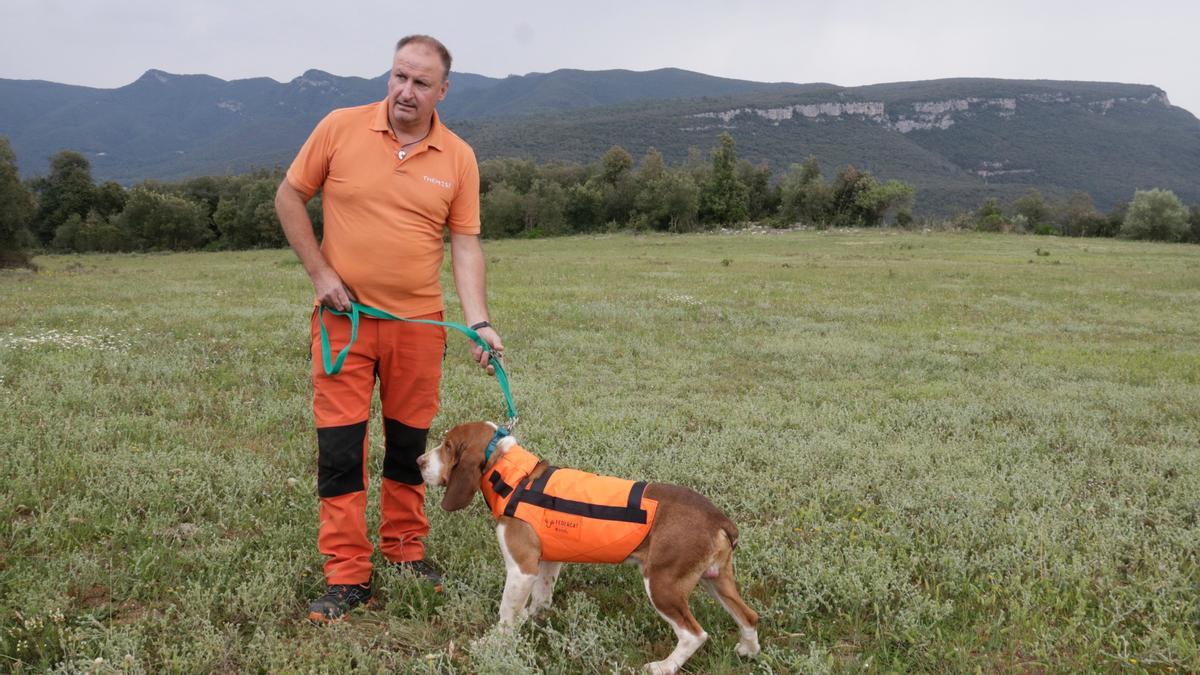 Un gos de caça amb una de les armilles subvencionades per Acció Climàtica