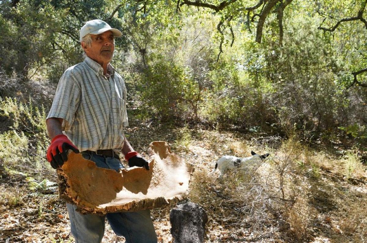Juan Andrades Carrillo lleva siete décadas descorchando alcornoques en el Valle del Genal.