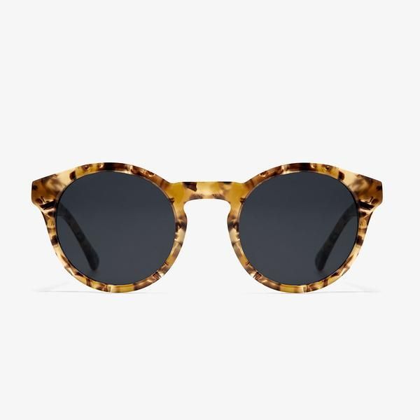 Gafas de sol de carey ámbar de D. Franklin