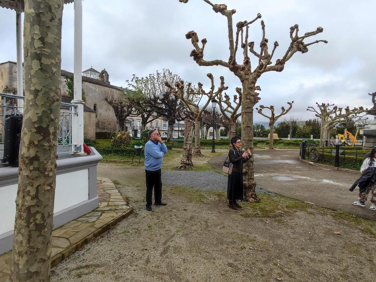 IMG_20240321_100720.jpg IMG_20240321_100720.jpg