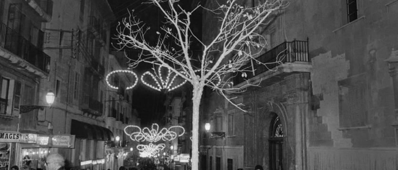 Luces navideñas y olmo recién plantado en Oms.