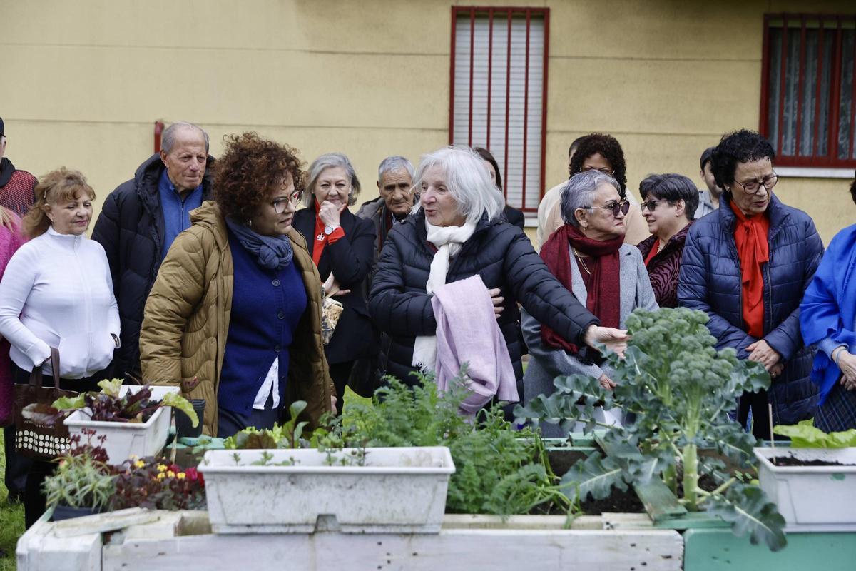 El nuevo huerto urbano de la zona oeste de Gijón, en imágenes