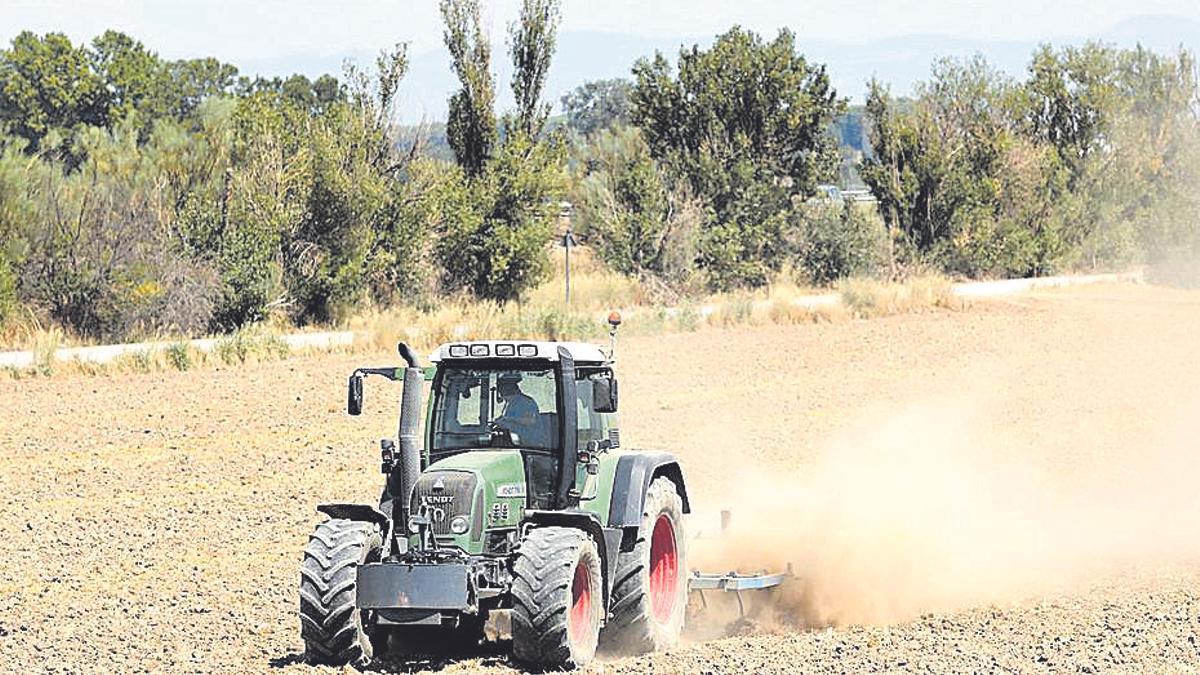 Un agricultor labra su explotación, en imagen de archivo.
