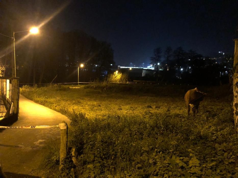 Hallan en Vigo un cadáver con signos de violencia