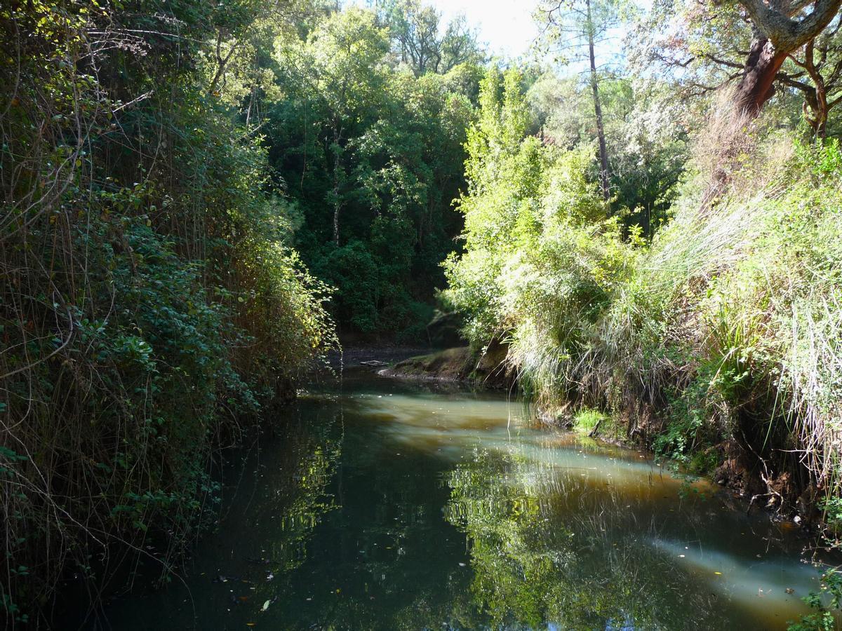 El parque natural de Sierra de Aracena se extiende dentro de la Reserva de la Biosfera Dehesas de Sierra Morena