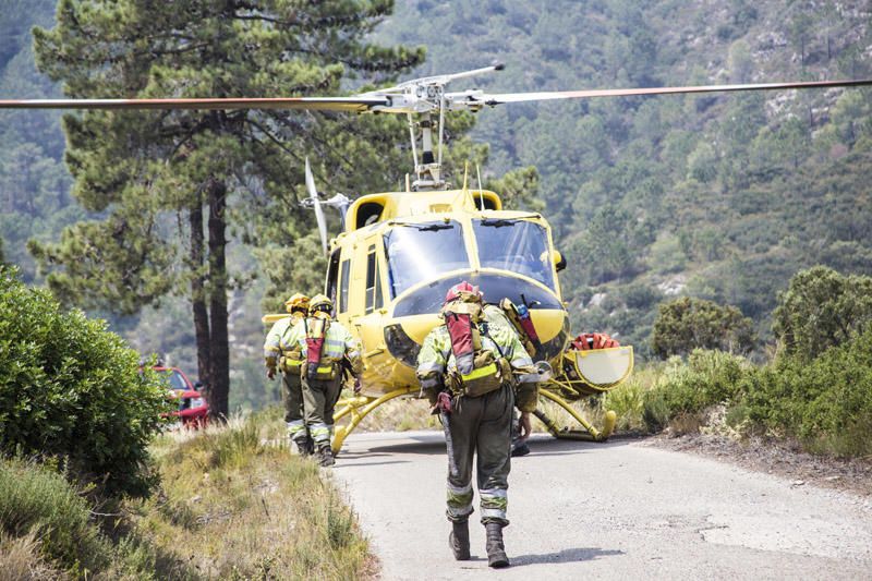 El paraje de El Surar, arrasado por el incendio