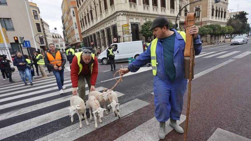 Los agricultores concentrados ante la Delegación del Gobierno no consiguen presentar su solicitud