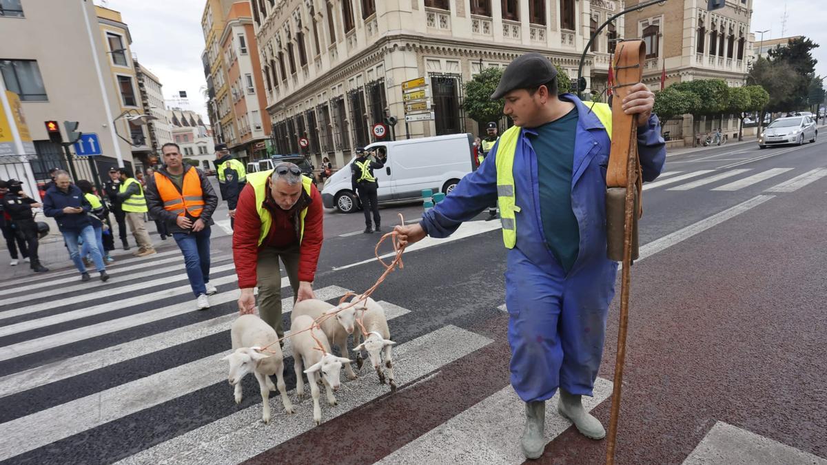 Agricultores y ganaderos, a las puertas de la Delegación.