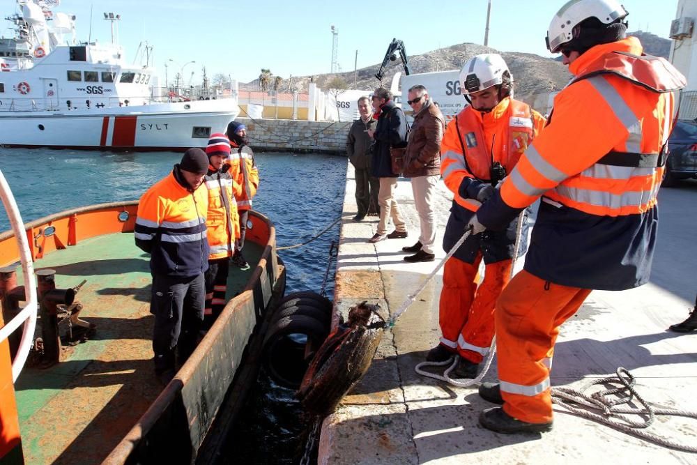 Jornada de limpieza del fondo del Faro de la Curra en Cartagena