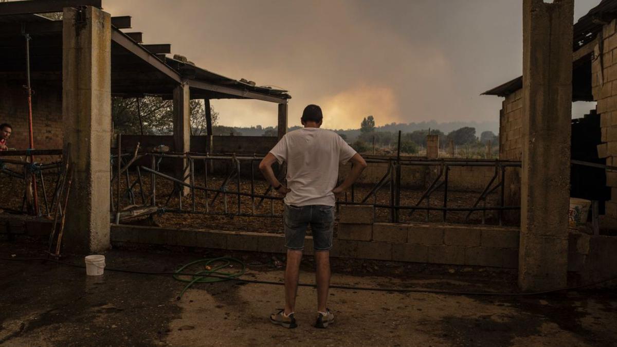 El fuego al lado de la carretera en la zona del valle del Tera y dos vecinos intentando controlar las llamas. | Emilio Fraile