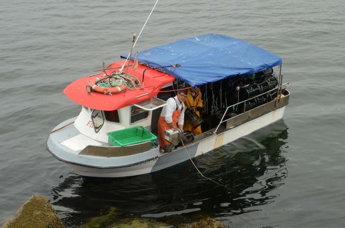 La pesca con nasas de nécora y camarón.