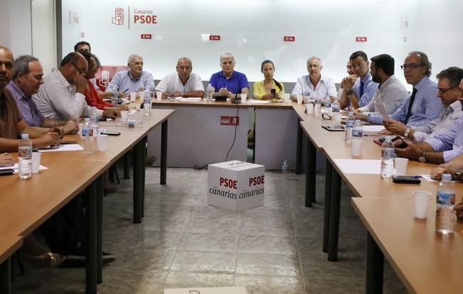 Delia Padrón Comisión Ejecutiva Regional del PSOE de Canarias , Miguel Ángel Pérez ,  Patricia Hernández y Julio Cruz entre otros