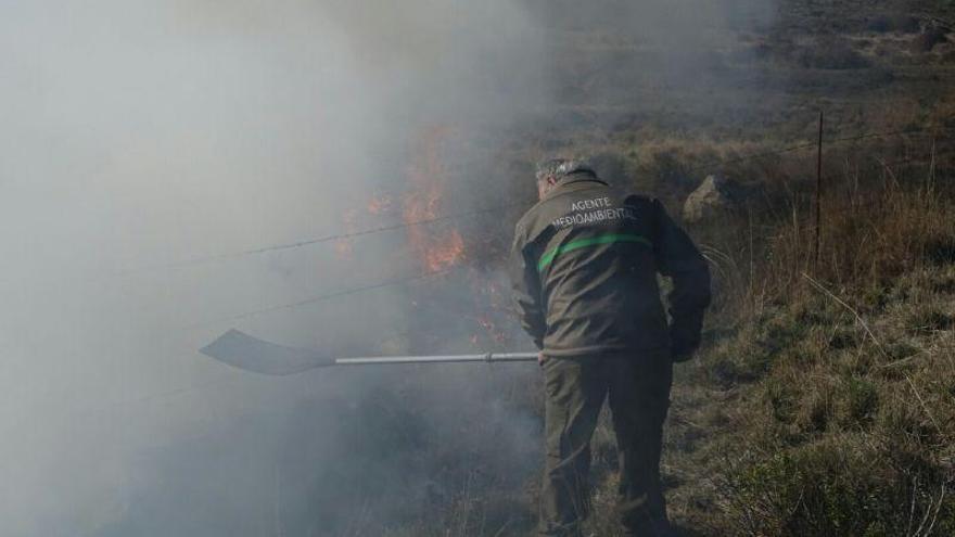 Los agentes medioambientales extinguen el incendio en el término de Pereruela