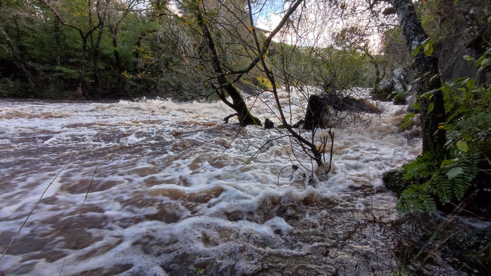 El cauce del Arnego, a su paso por Toiriz.