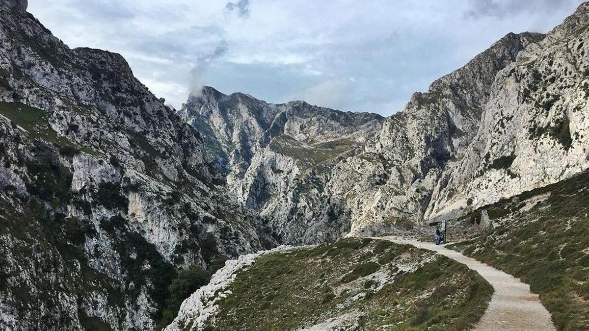 Vista panóramica de la ruta sobre el río Cares