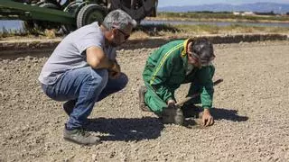 La crisis climática amenaza el futuro de las exportaciones agrícolas en Catalunya