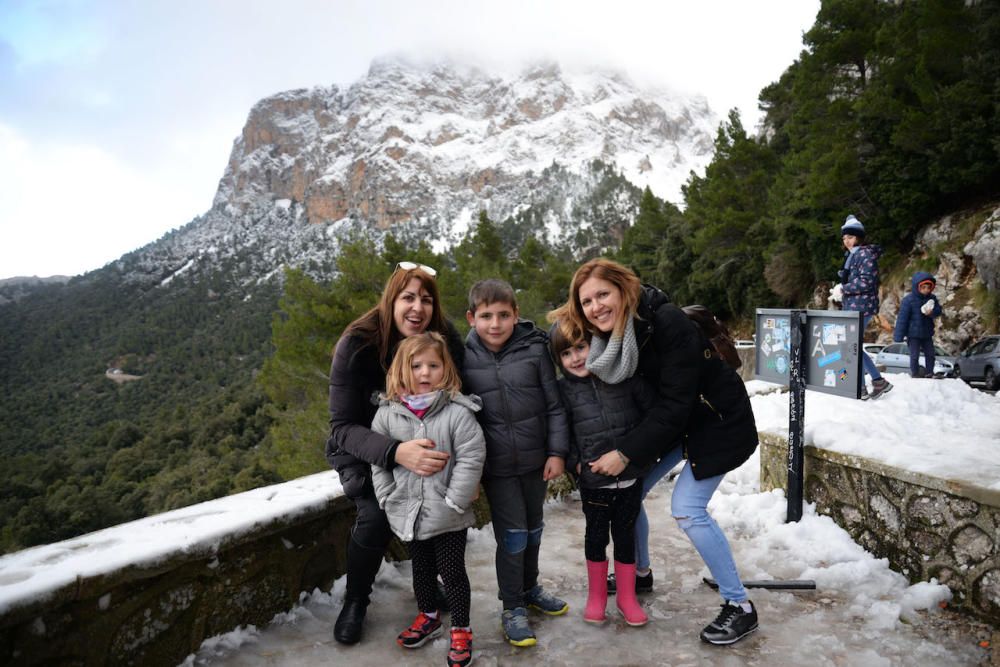 Am Freitag (2.2.) hat es in den Höhenlagen von Mallorca geschneit - die weiße Pracht war am Samstag weithin sichtbar und Attraktion für kleine und große Ausflügler.