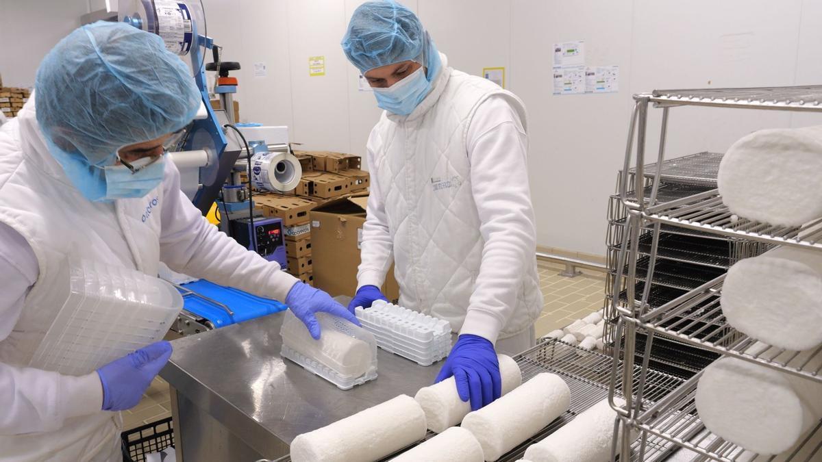 Dos trabajadores comprueban las piezas de rulo de cabra en una fábrica de quesos.