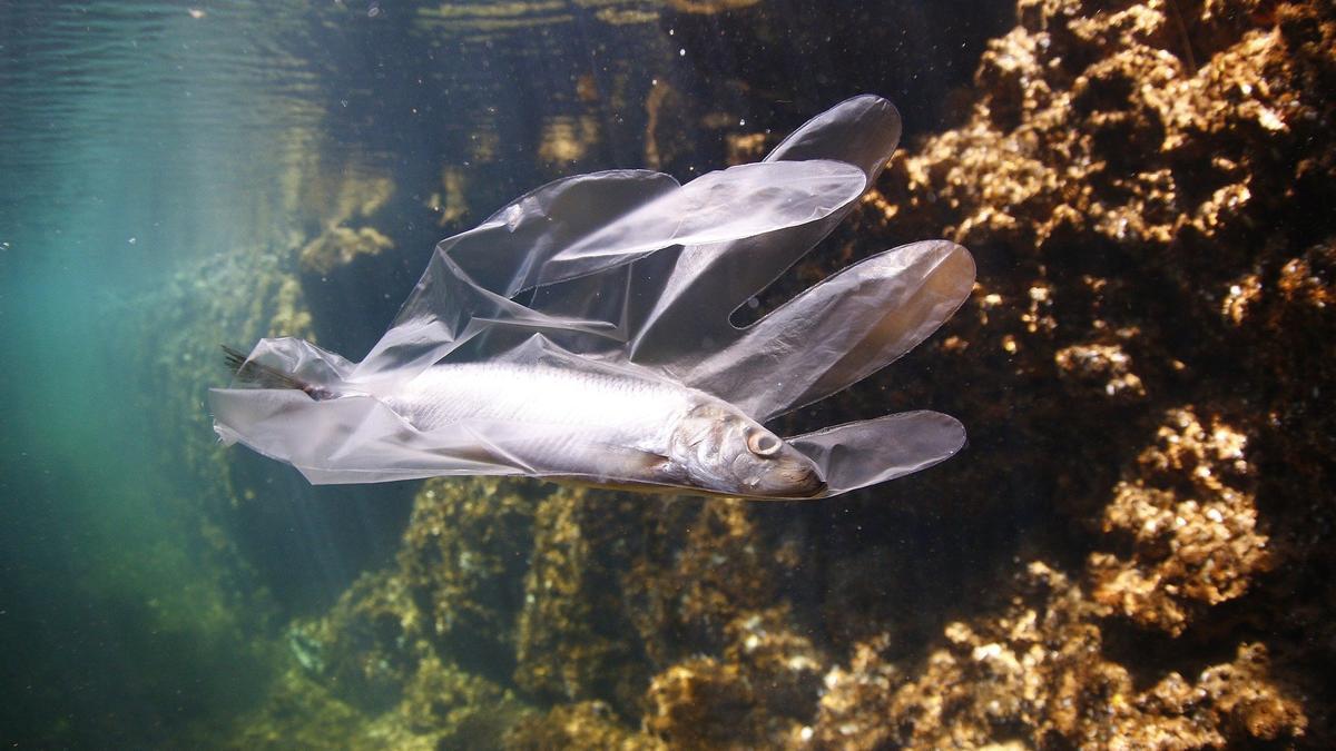 Un guante de plástico en el mar