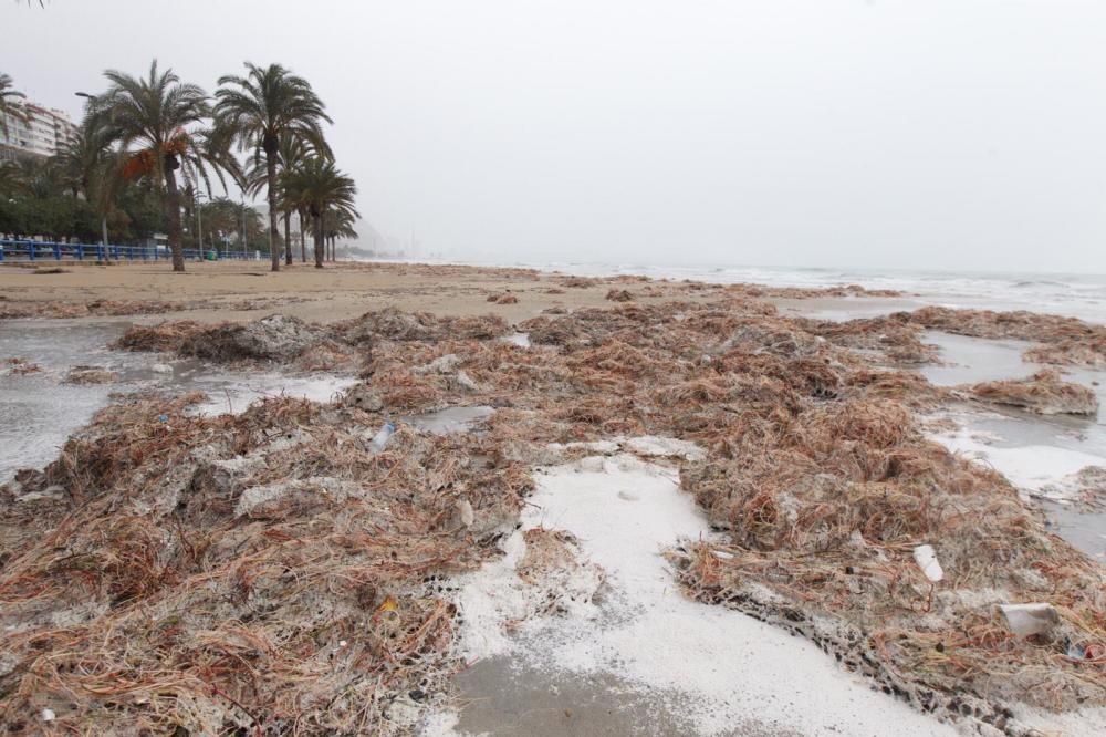 La borrasca Gloria deja impresionantes imágenes en la playa alicantina