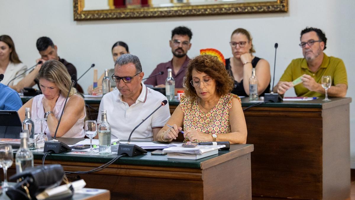 Un momento del pleno municipal de Adeje