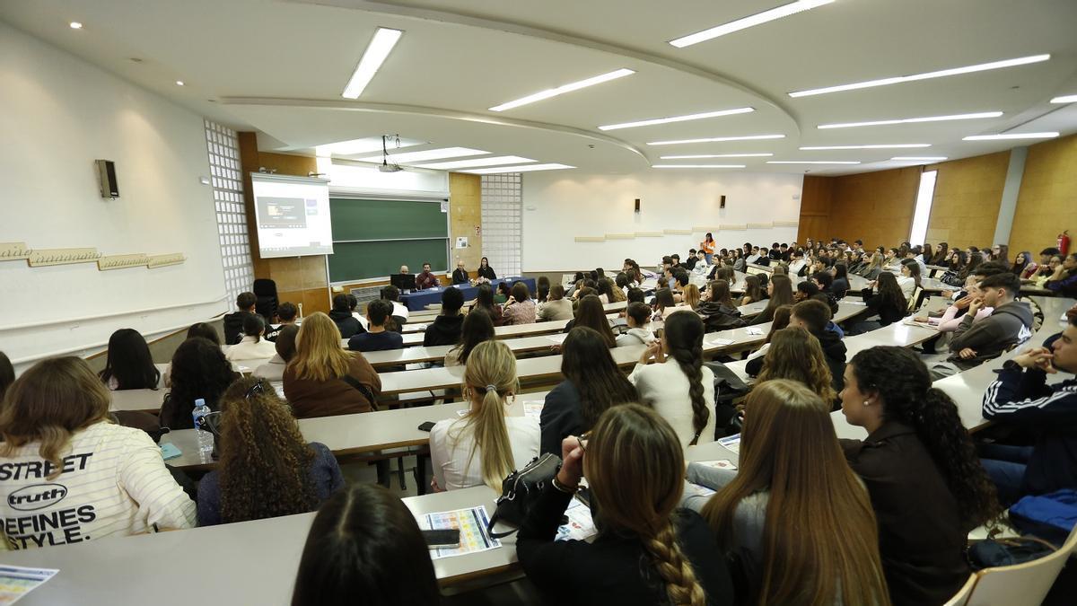 Selectividad en Alicante 2025: Estas son las carreras con mayor nota de corte