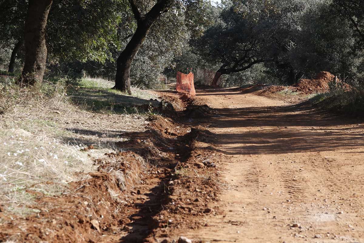 Comienzan las obras del parque del Patriarca