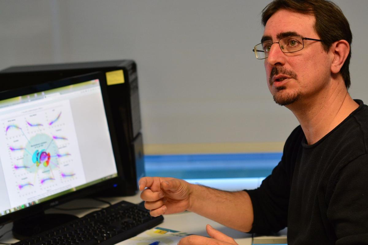 José Vicente Manjón lidera el grupo investigador MIA-LAB de la UPV.