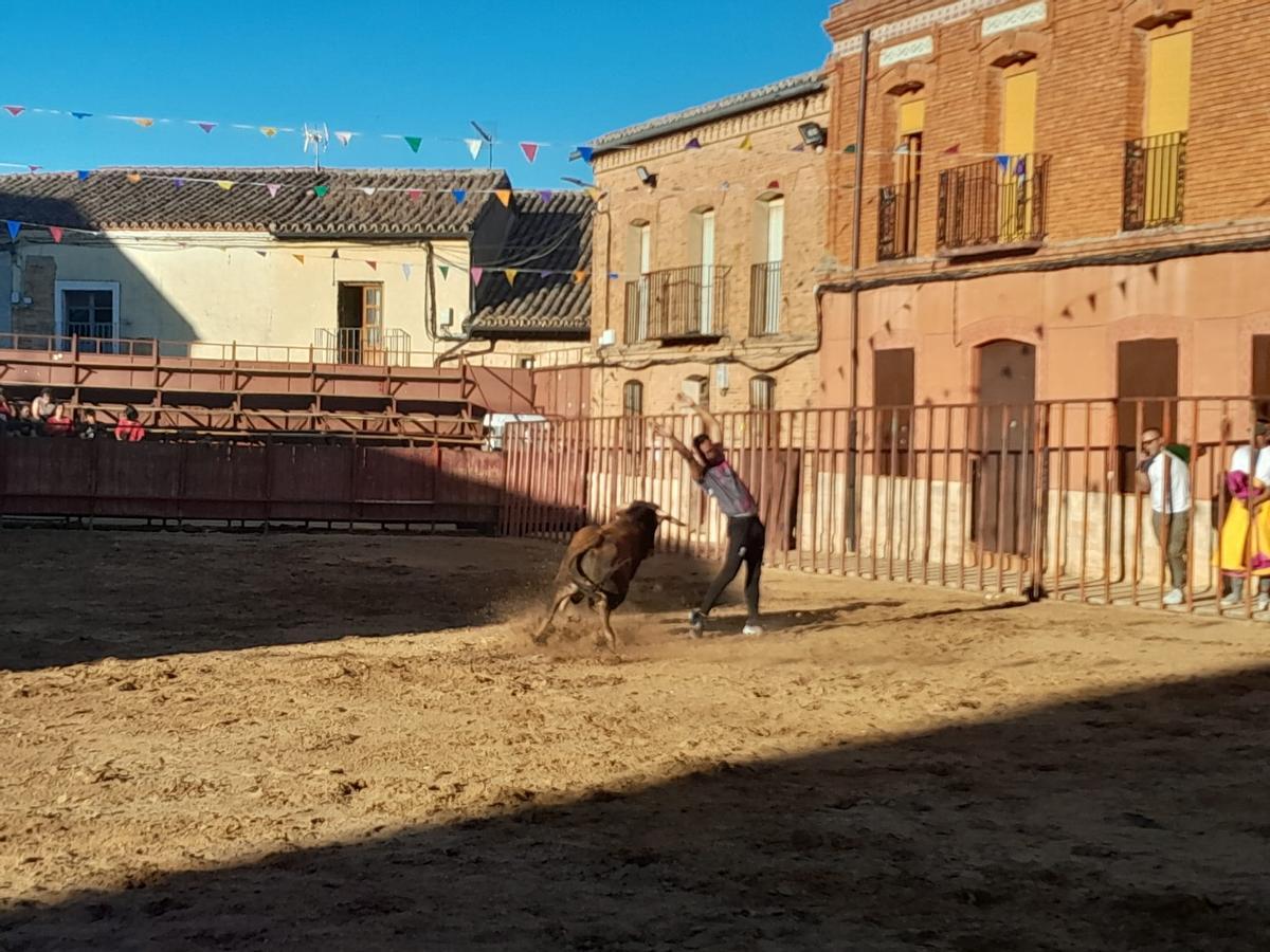 GALERÍA | Exhibición de cortes, quiebros y saltos en Morales de Toro