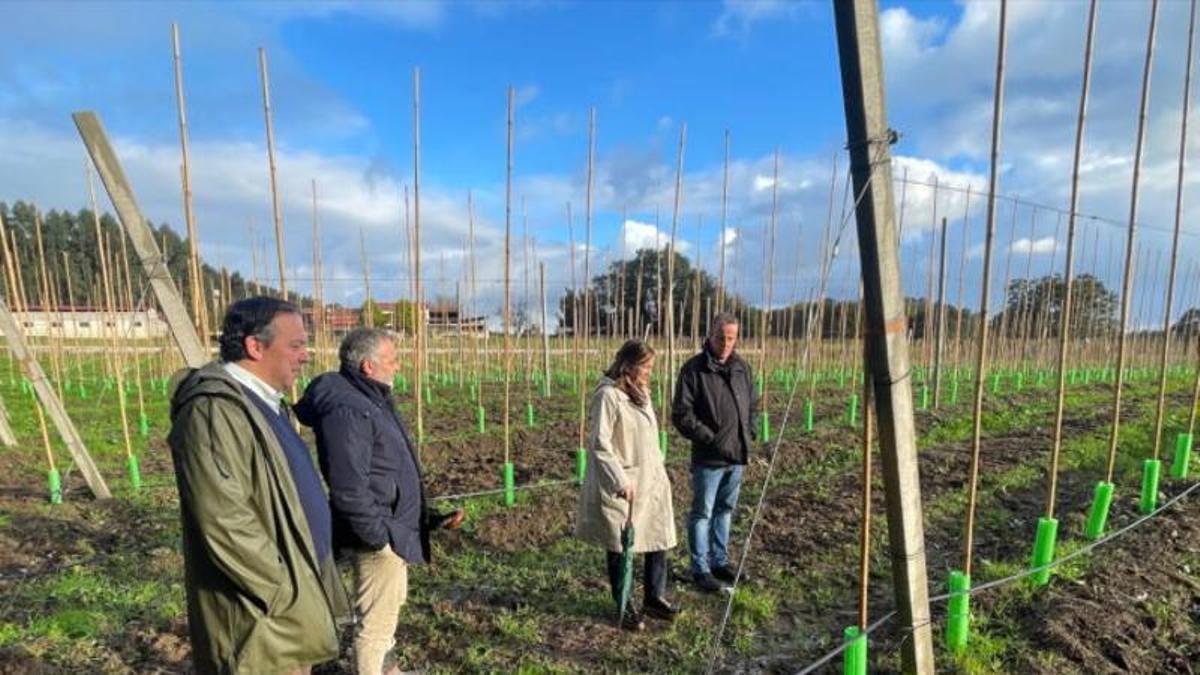 El alcalde de Villaviciosa, Alejandro Vega, y el consejero Marcelino Marcos Líndez durante una visita va un proyecto financiado con fondos de la UE en Villaviciosa.