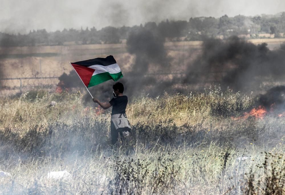 Siete palestinos murieron y unos 250 resultaron heridos por disparos de soldados israelíes durante las protestas de este viernes cerca de la frontera entre Gaza y el Estado hebreo.